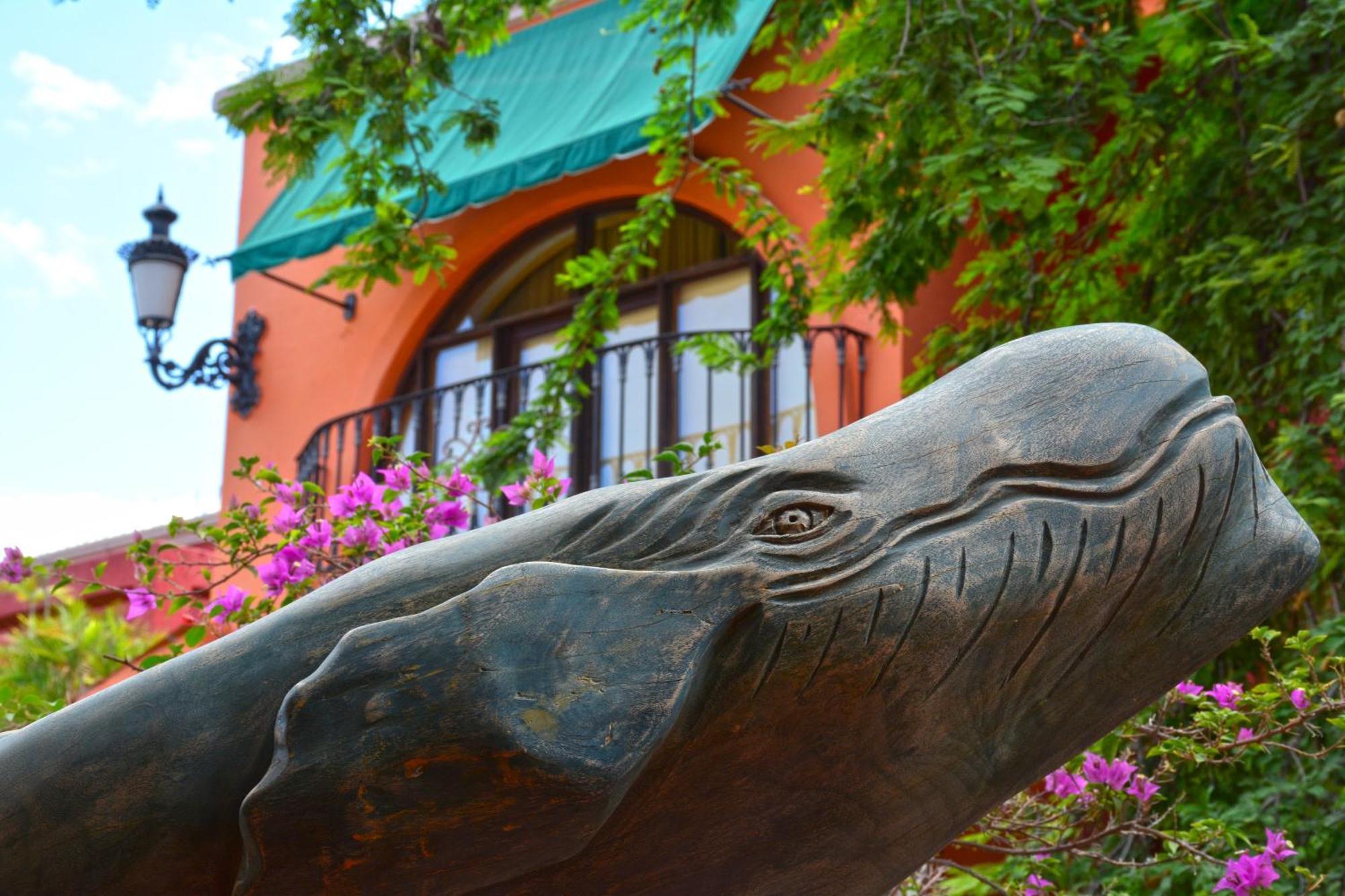 Collection O Casa Bella Hotel Boutique, Cabo San Lucas Exterior photo
